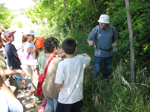 ACTIVITATS COSMOF&Iacute;SICA-HERBARIO